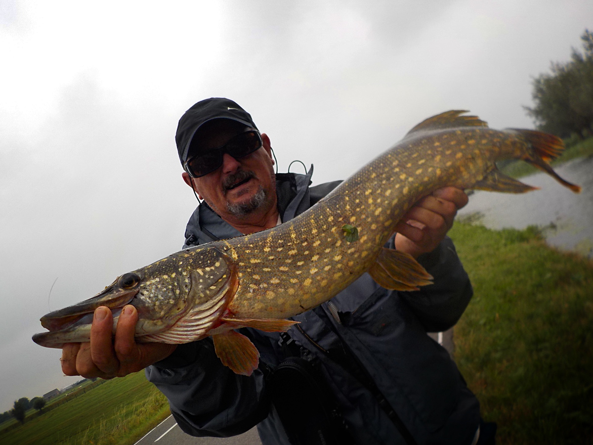 Beau brochet, séjour de pêche en hollande Beau brochet, séjour de pêche en hollande