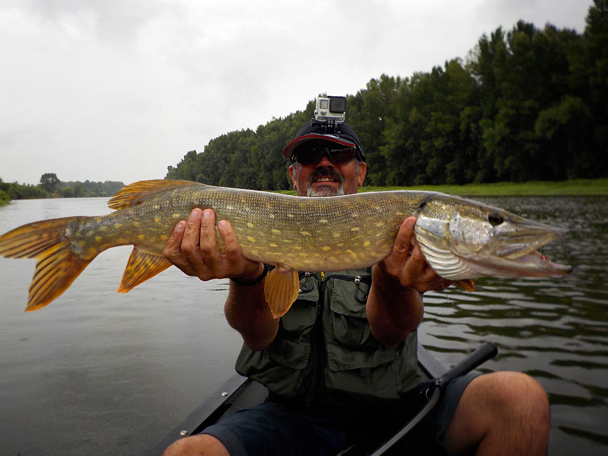 Pêche en canoë, brochet de l'Allier Pêche en canoë, brochet de l'Allier