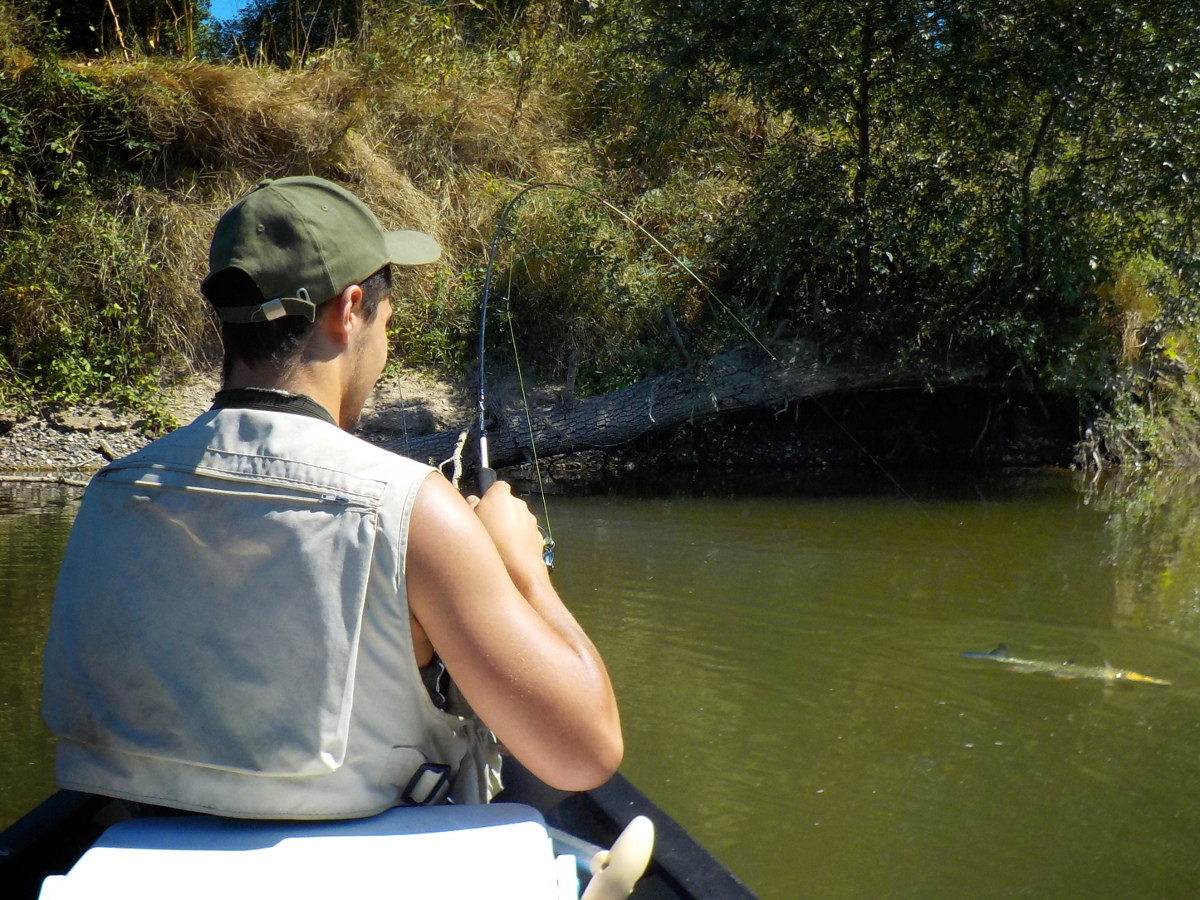 Gros chevesne, pêche en canoë Gros chevesne, pêche en canoë