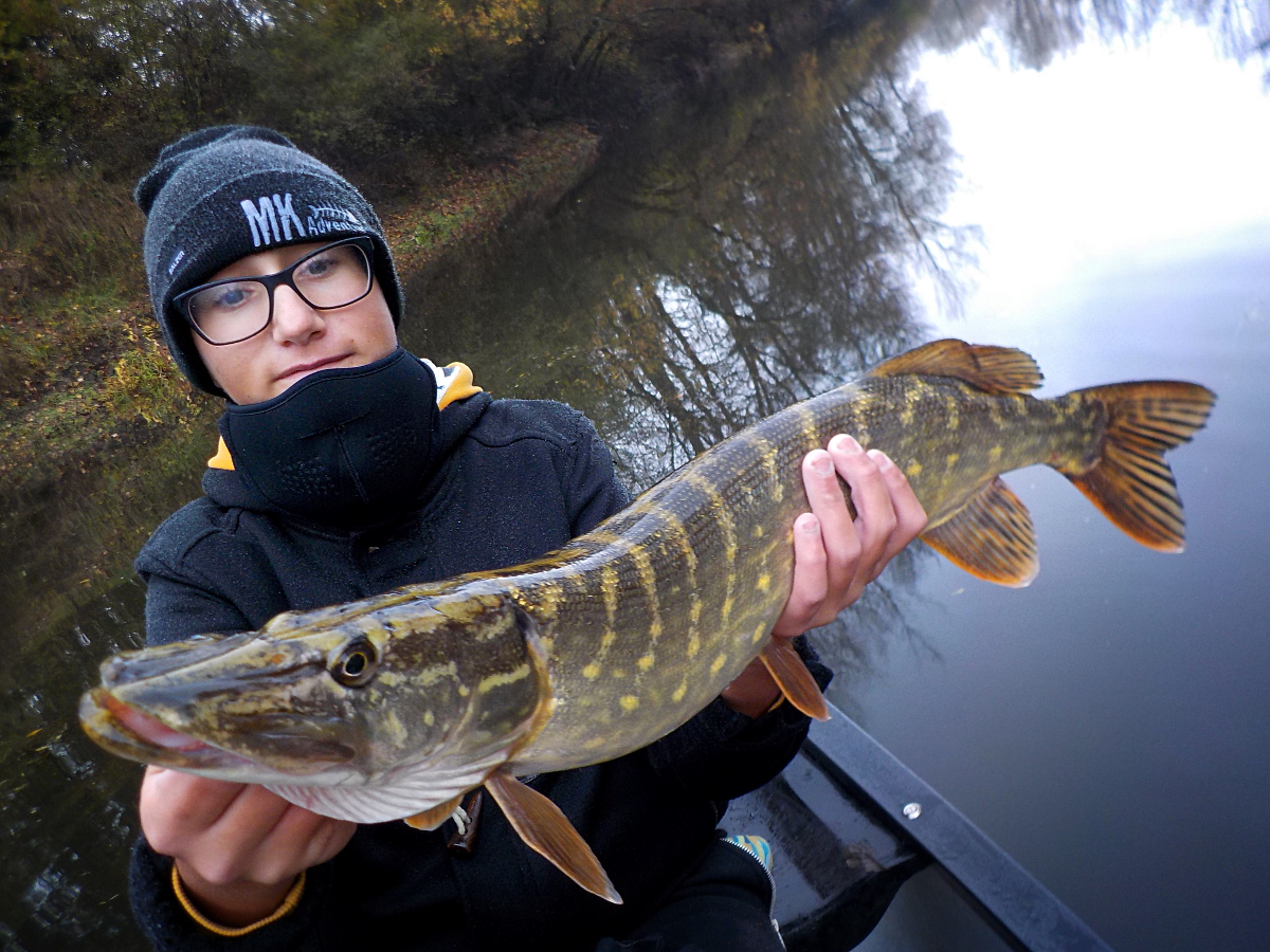 Brochet en canoë l'automne Brochet en canoë l'automne