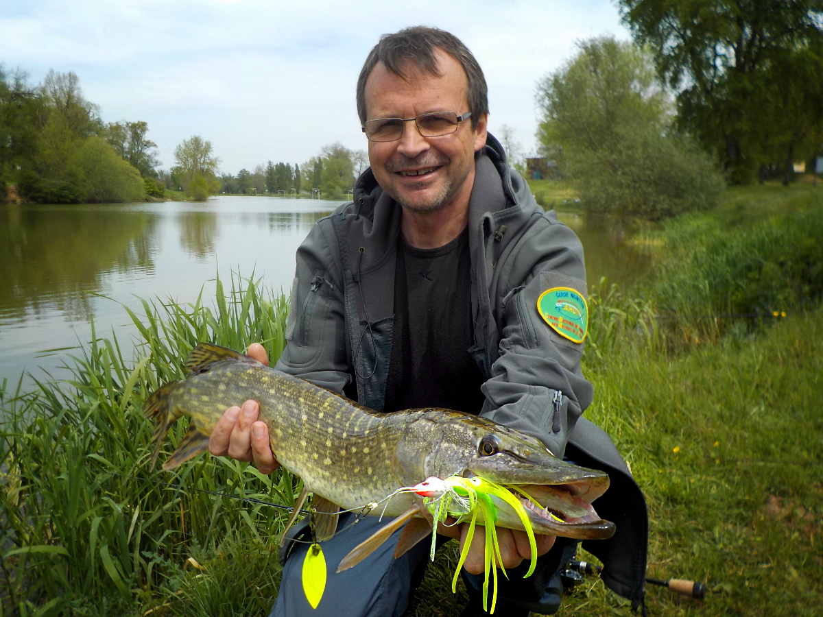 brochet au spinnerbait brochet au spinnerbait
