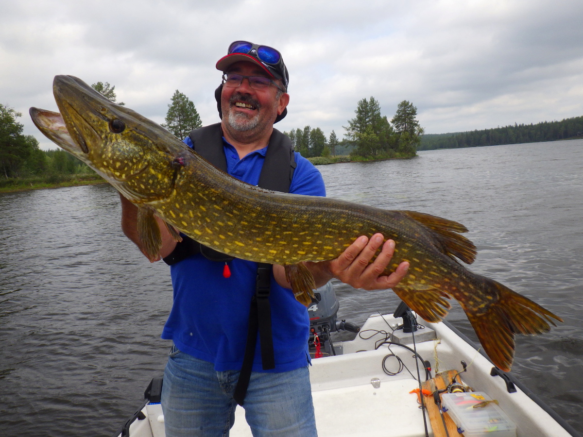 Séjour de pêche en Suède, pêche au brochet Séjour de pêche en Suède, pêche au brochet