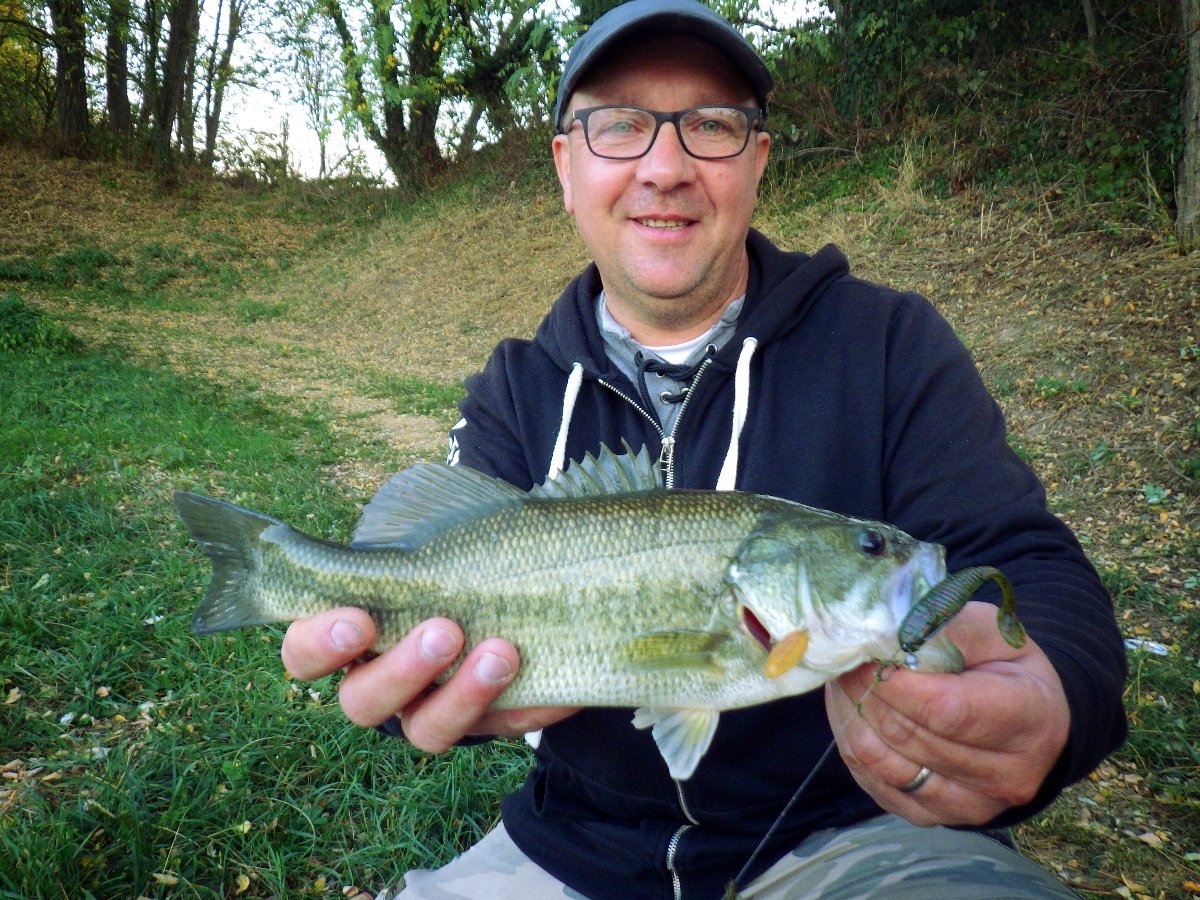 Carnassiers en canal Carnassiers en canal