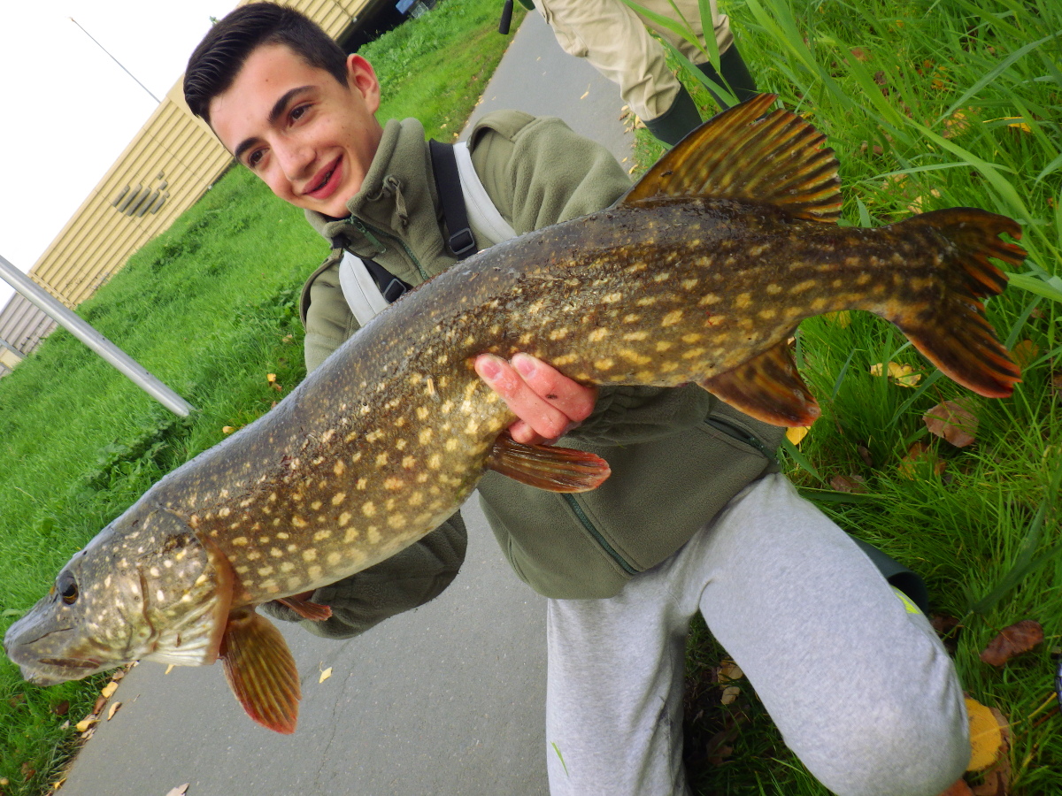Coaching pêche Coaching pêche