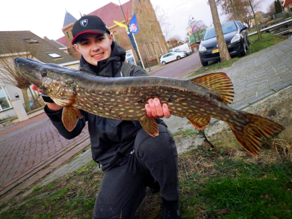 Séjour de pêche au brochet en Hollande Séjour de pêche au brochet en Hollande