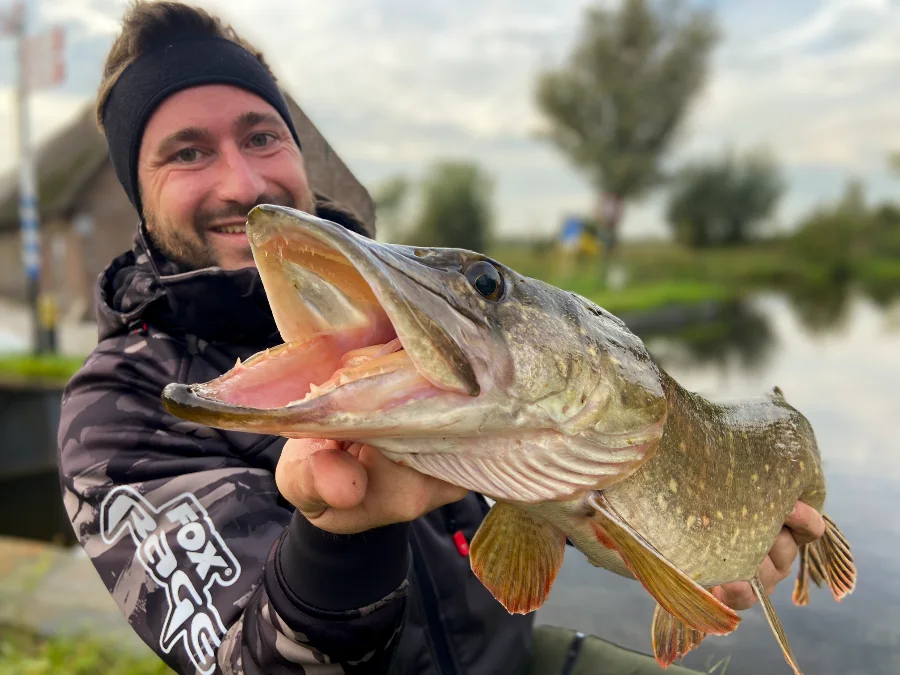 Marc avec un brochet hollandais