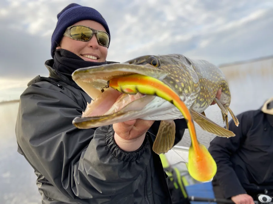 Pêche du brochet en mer Baltique