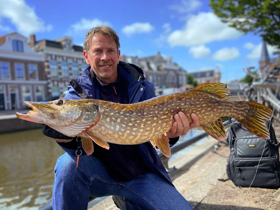 Stage de pêche au brochet en Hollande