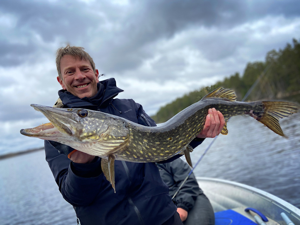Brochet pendant un séjour de pêche en Suède centrale