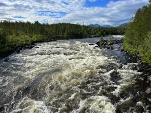 Rivière à truite et ombres en Norvège