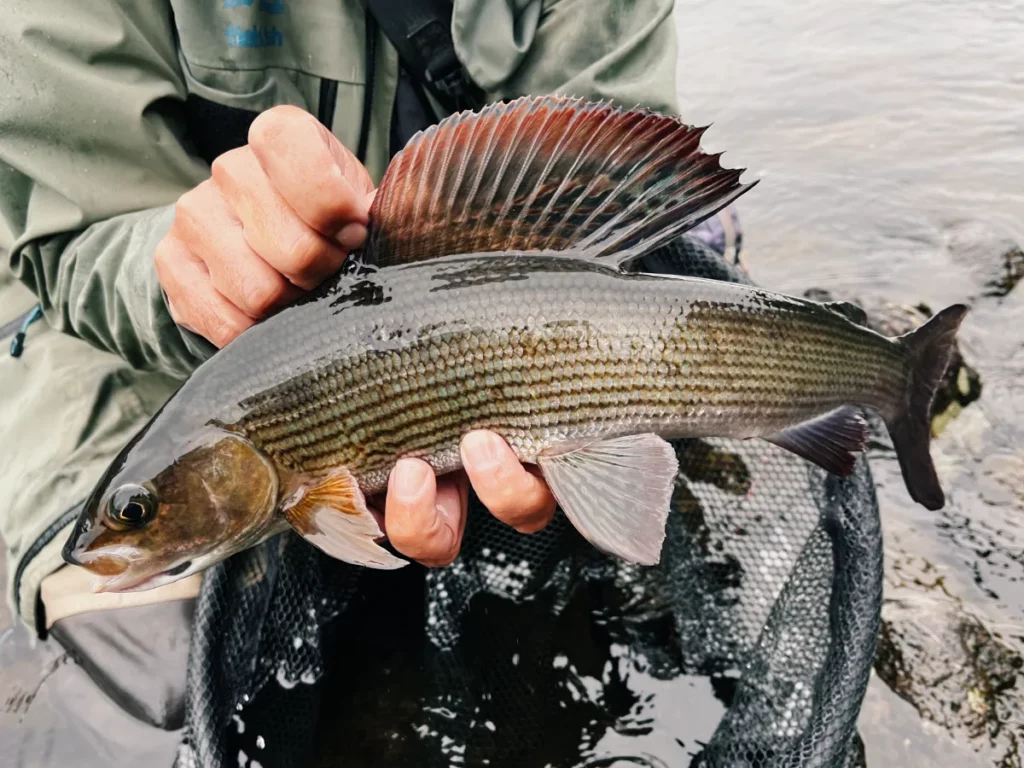 Séjour de pêche en Norvège