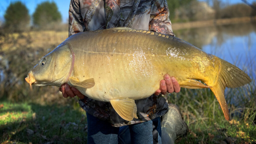 Stage de pêche feeder et method à Moulins