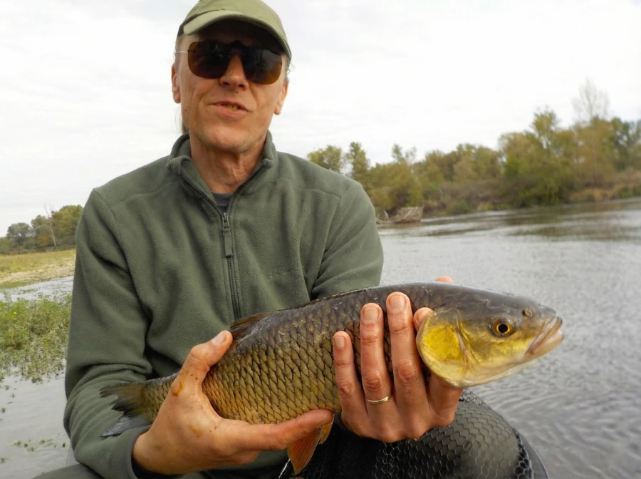 Chevesne pris en stage de specimen hunting