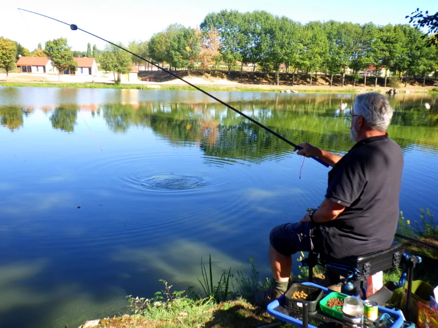 Combat à la canne à élastique