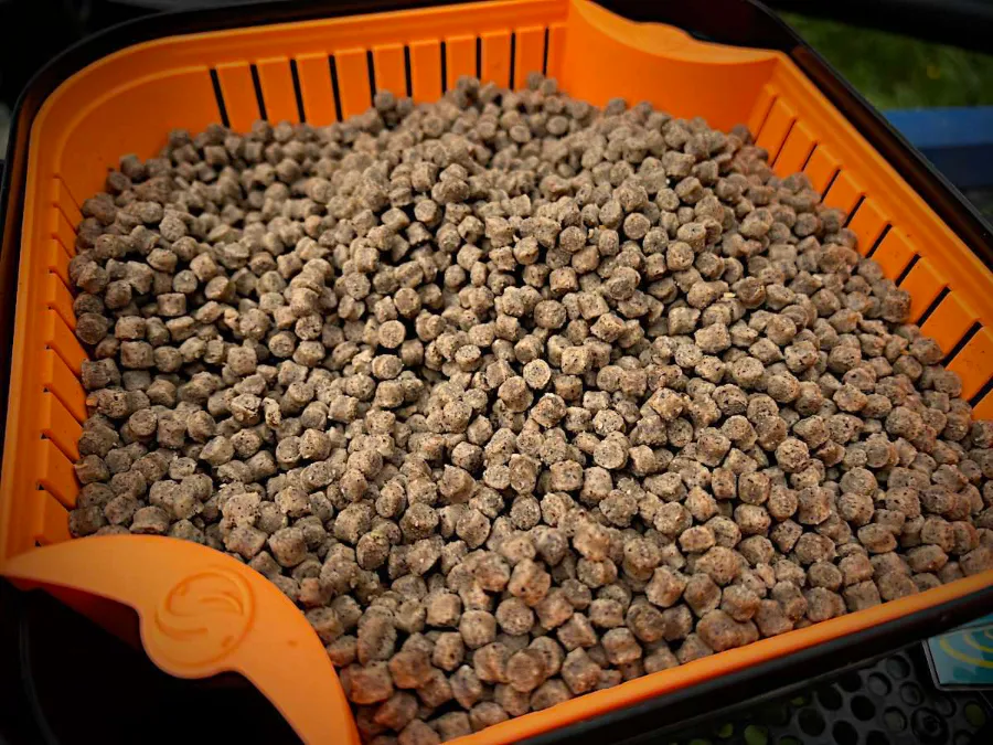 Esches pour la carpe