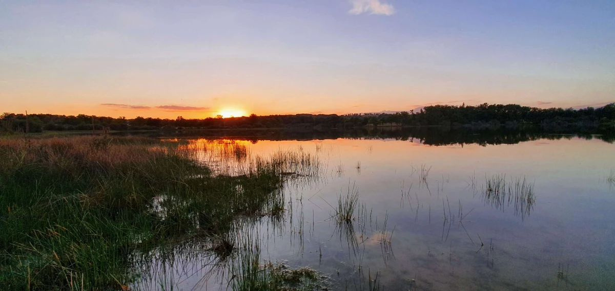 Lac de l'Allier pour la pêche au method feeder