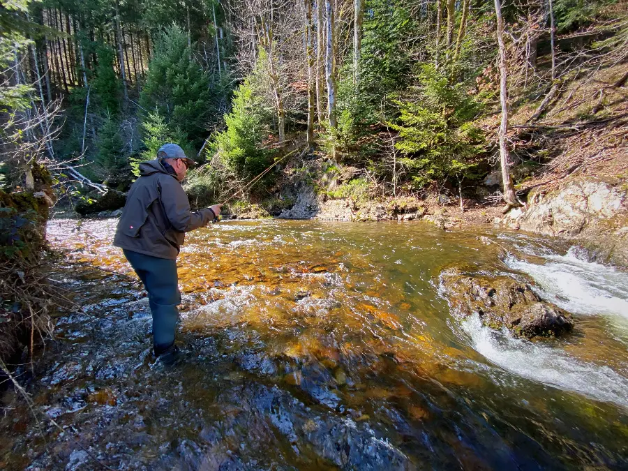 Lecture de la rivière