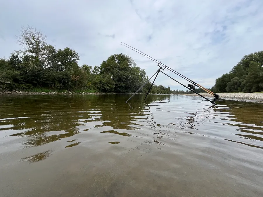 Matériel specimen hunting