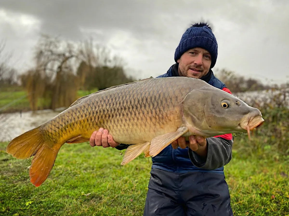 Stage de pêche à l'anglaise en plan d'eau