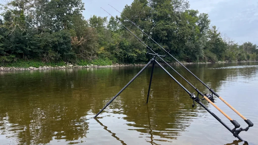 Stage de pêche - specimen hunting