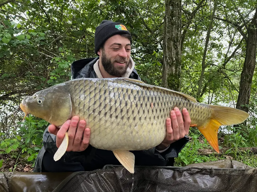 carpe d'étang de l'Allier