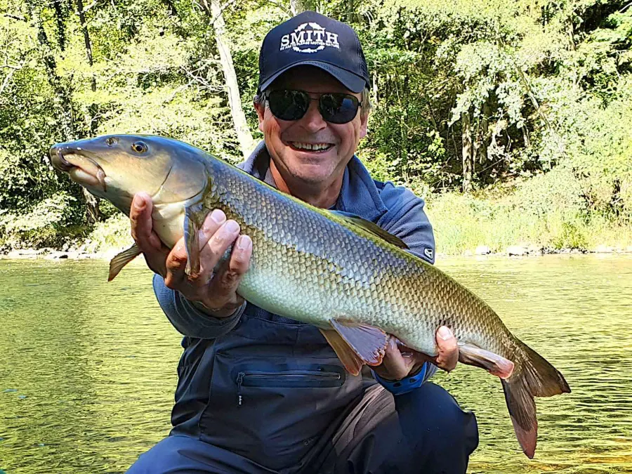 specimen hunting des barbeaux de la Sioule