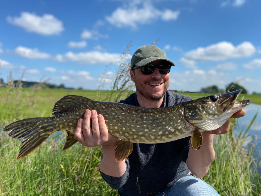 Analyse de la réaction des poissons