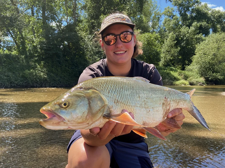 Aspe de l'Allier pris en stage de perfectionnement pêche aux leurres