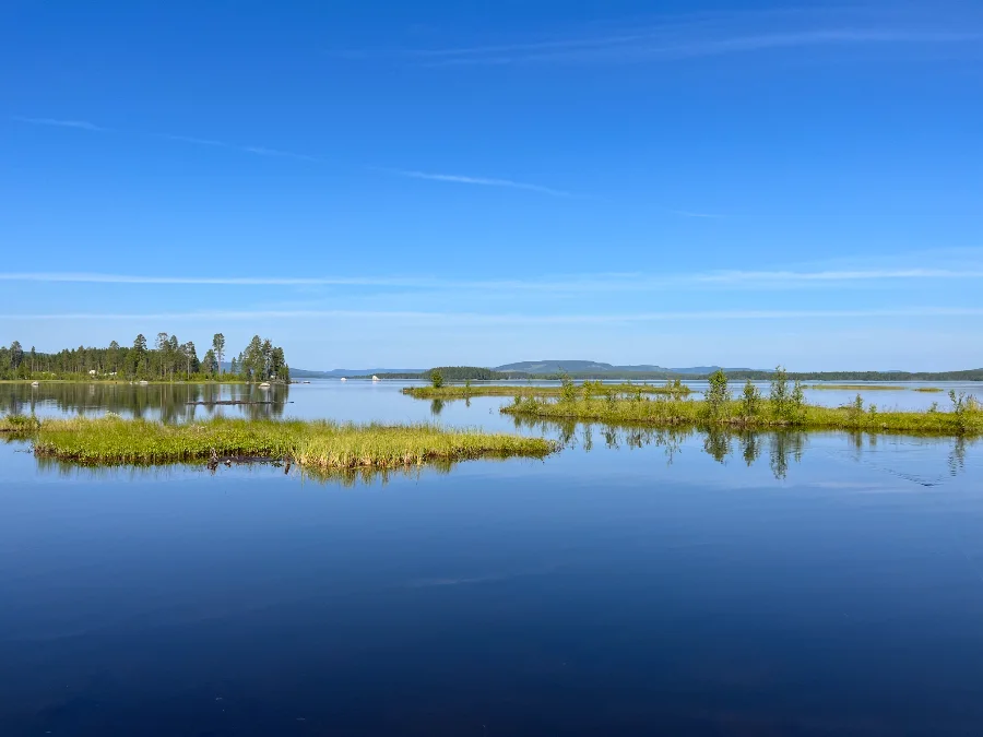 Baie d'un grand lac de tourbière