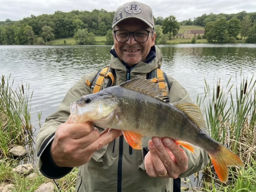 Belle perche d'Auvergne