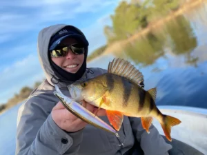 Belle perche de Suède méridionale