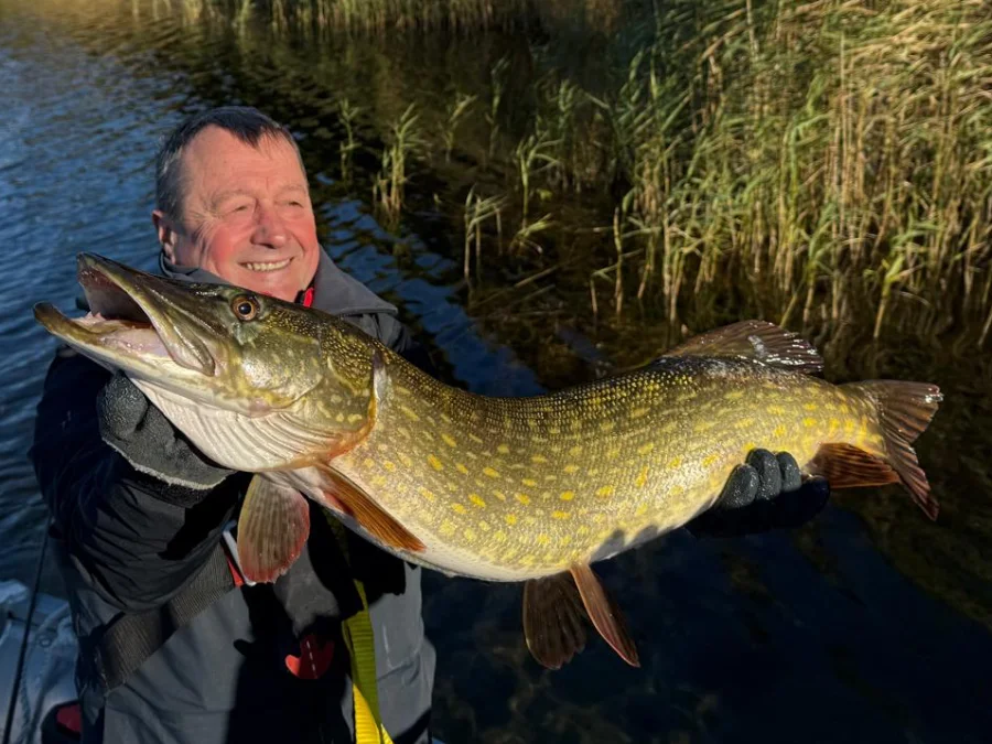 Brochet de la Mer Baltique en octobre