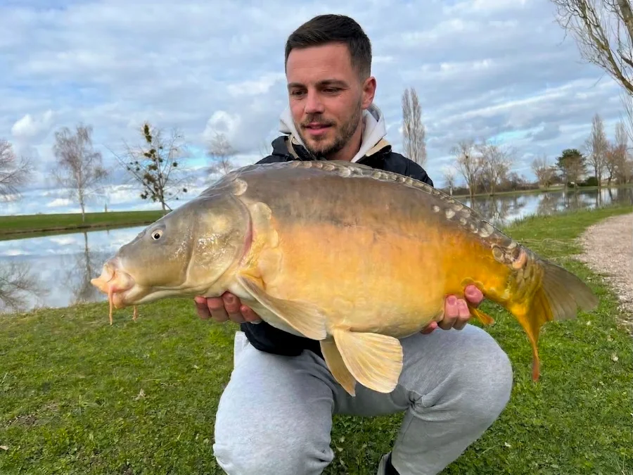Carpe d'étang du Bourbonnais