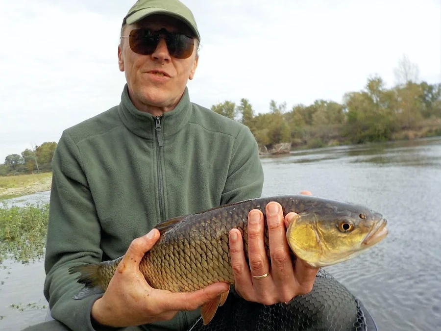 Chevesne en street fishing