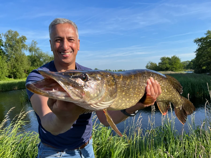 Compréhension des tenues du brochet