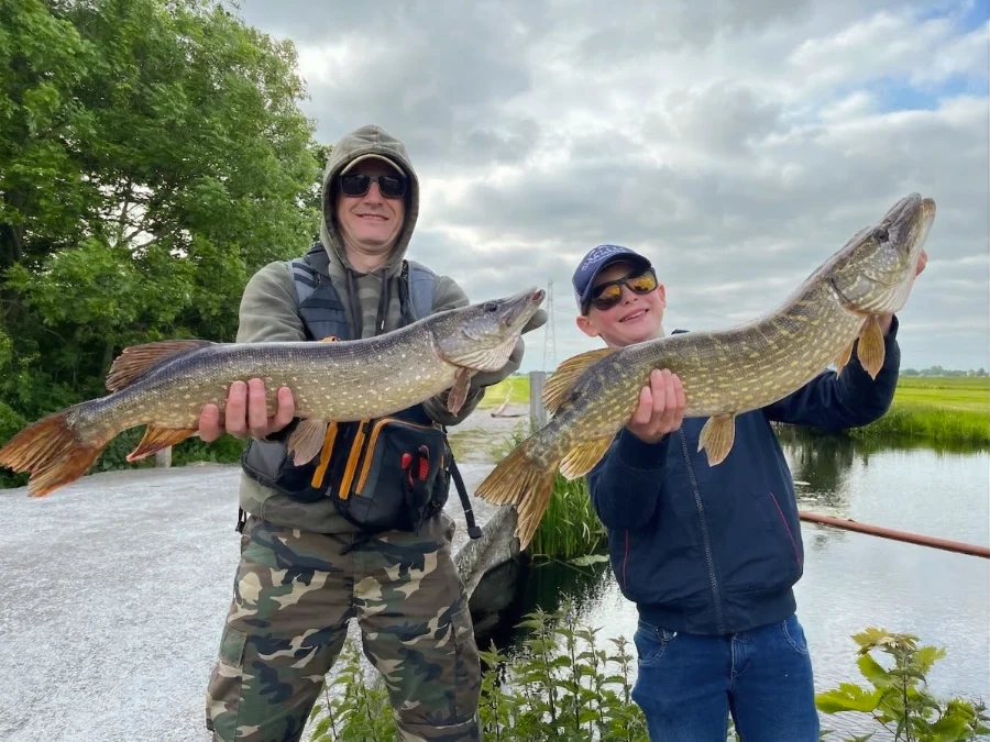 Comprendre le comportement du brochet