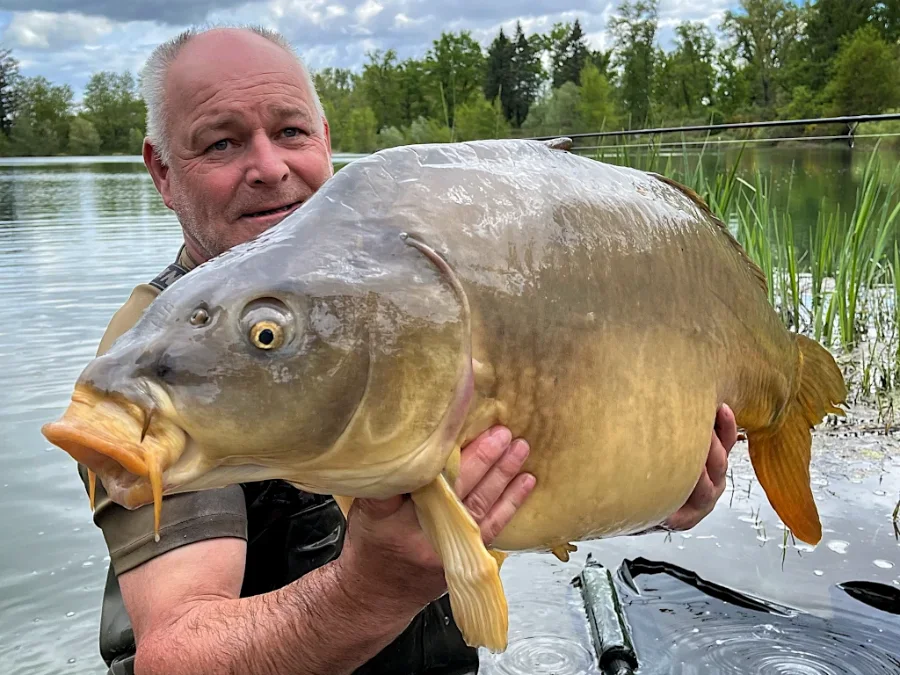 Grosse carpe en session privée