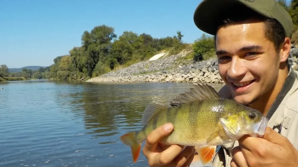 Initiation pêche aux leurres sur l'Allier