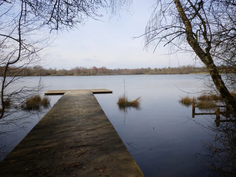 Lecture du milieu pour la pêche aux leurres