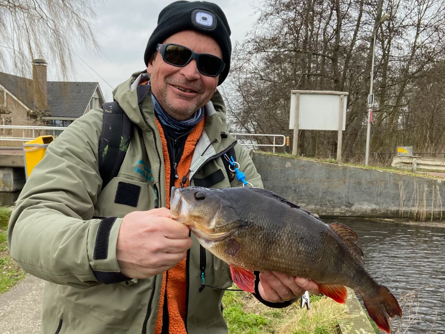 Magnifique perche hollandaise