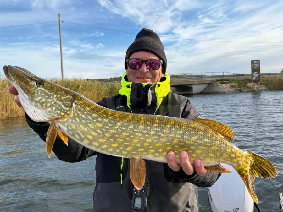 Manu BIZEL guide de pêche en mer Baltique