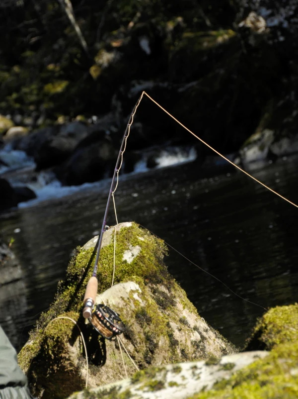 Matériel pour la pêche à la mouche