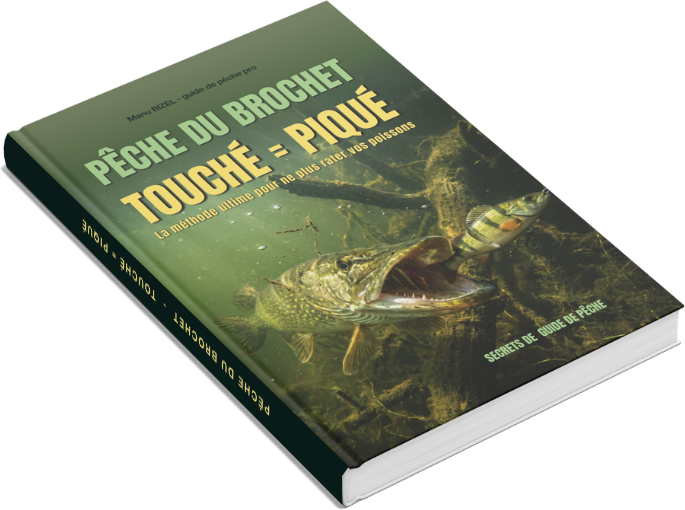 Livre de pêche au brochet de Manu BIZEL