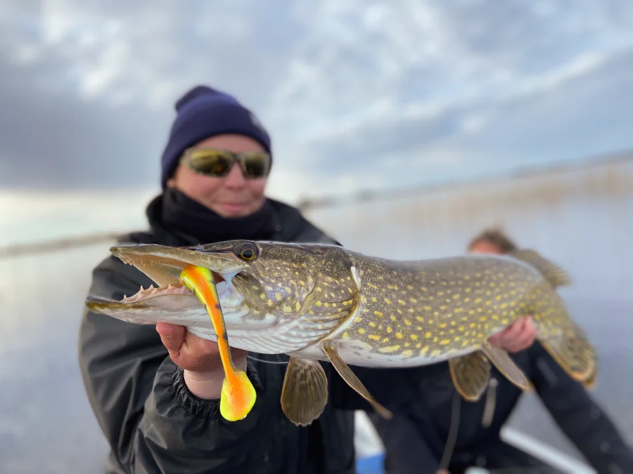 Pêche active sur le lac Åsnen
