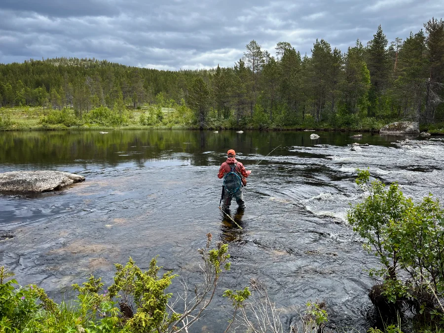 Pêche sur un affluent de la Trysilaelva