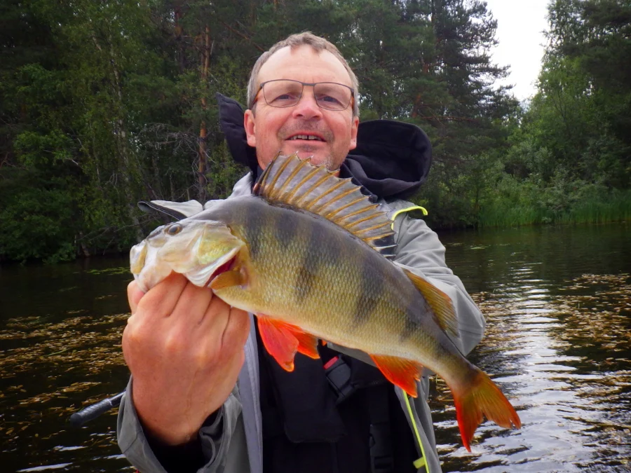 Perche en ultra léger