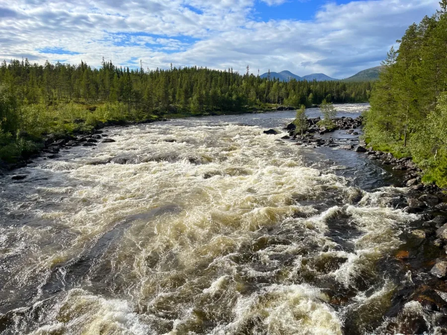 Rivière à truites en Norvège