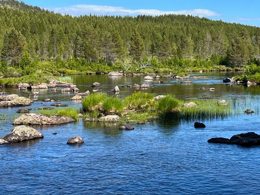 Rivière norvégienne en début de saison
