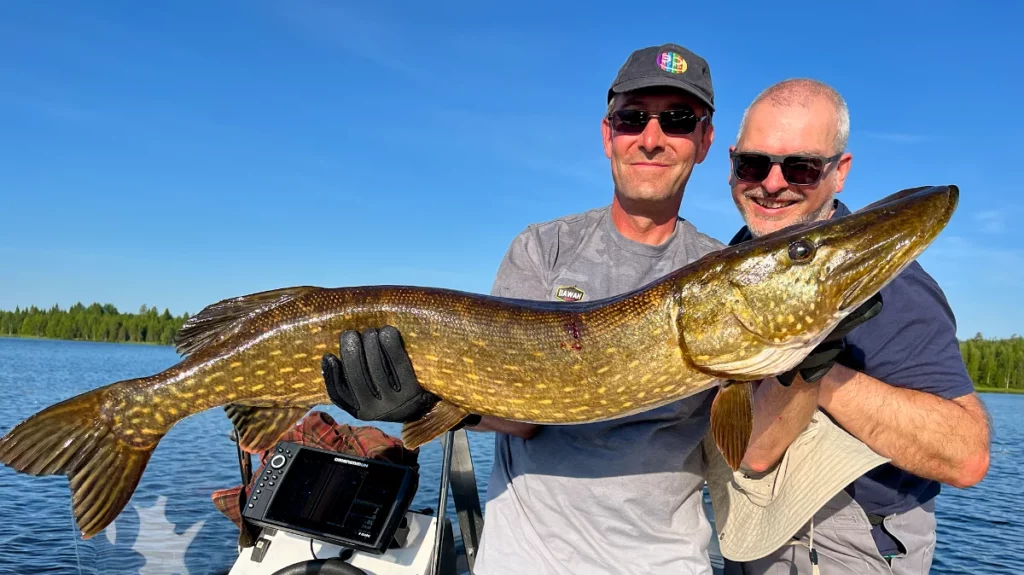 Séjour de pêche au brochet en Laponie sédoise