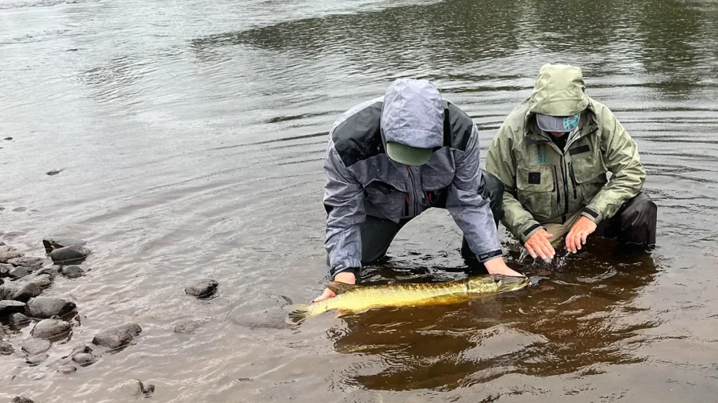 Séjour de pêche en Norvège Finnmark